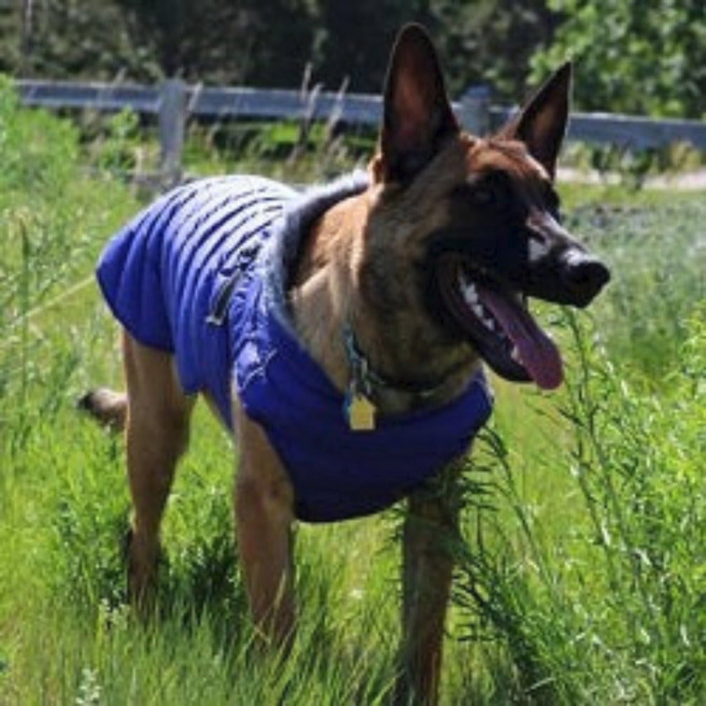 Alpine Extreme Weather Puffer Dog Coat Navy Blue 68228