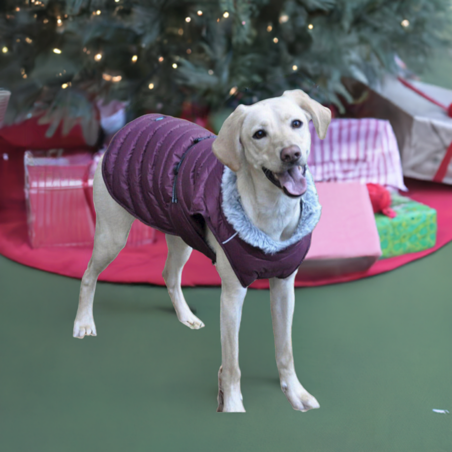 Doggie Design Alpine Extreme Weather Puffer Dog Coat Burgundy 68222