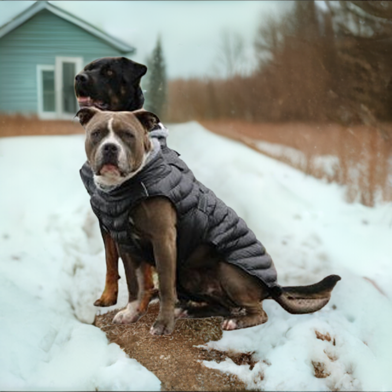 Alpine Extreme Weather Puffer Dog Coat by Doggie Design Black