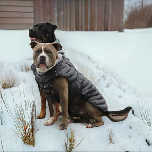 Alpine Extreme Weather Puffer Dog Coat by Doggie Design Black (Copy)