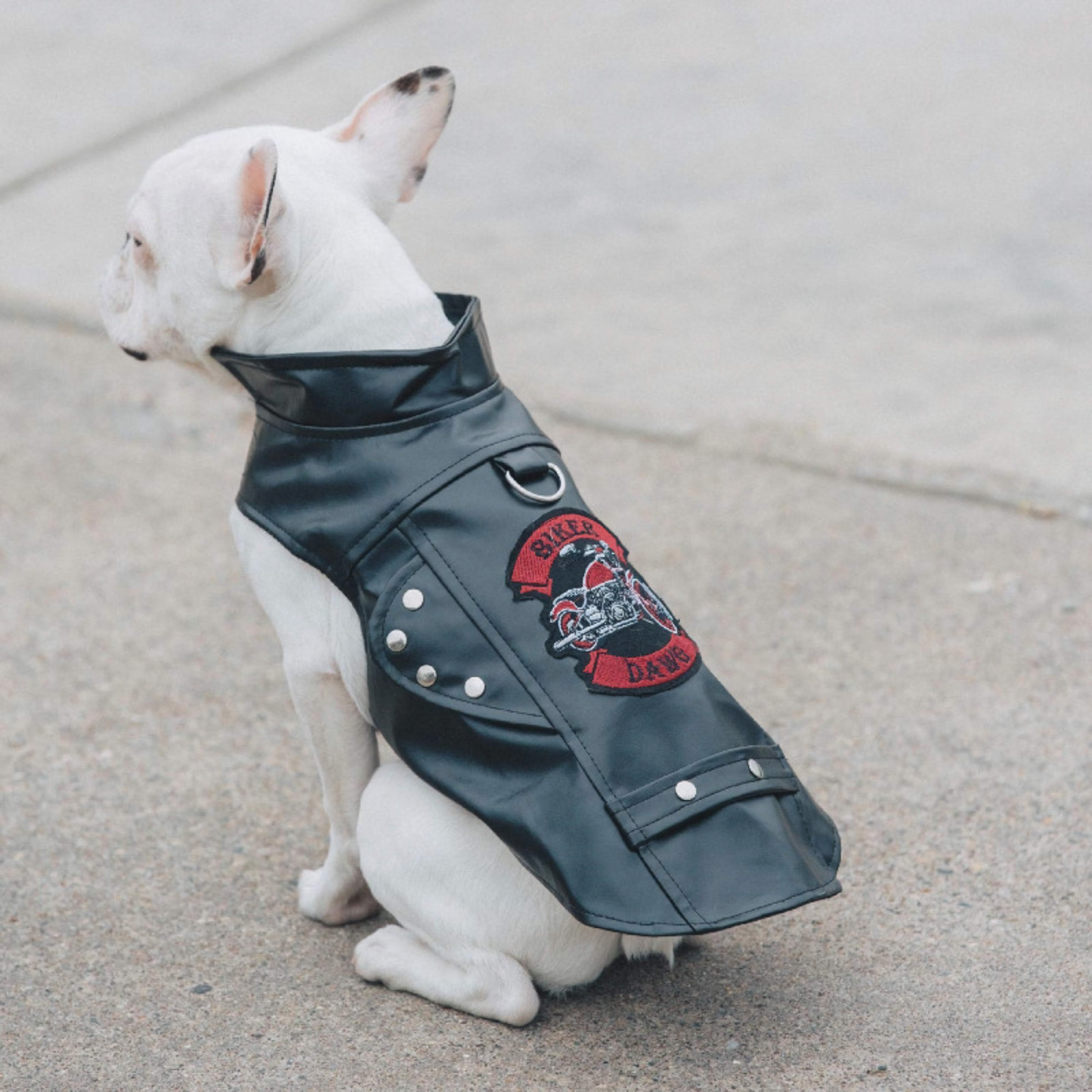 Biker Dawg Motorcycle Jacket-Black