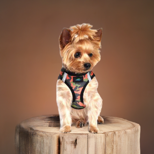 American River Camouflage Collection Orange Camo