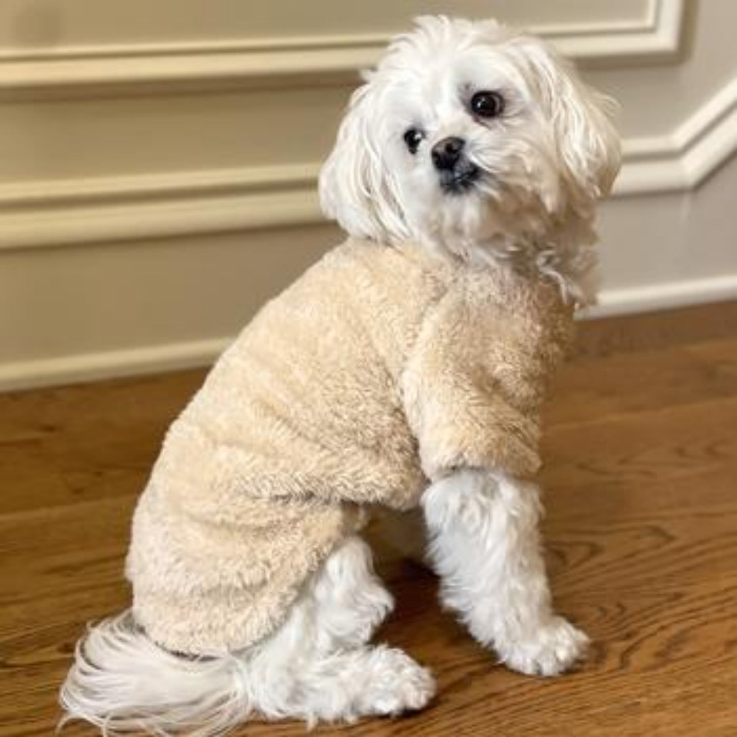Soft Plush Pullover - Cream DD78572