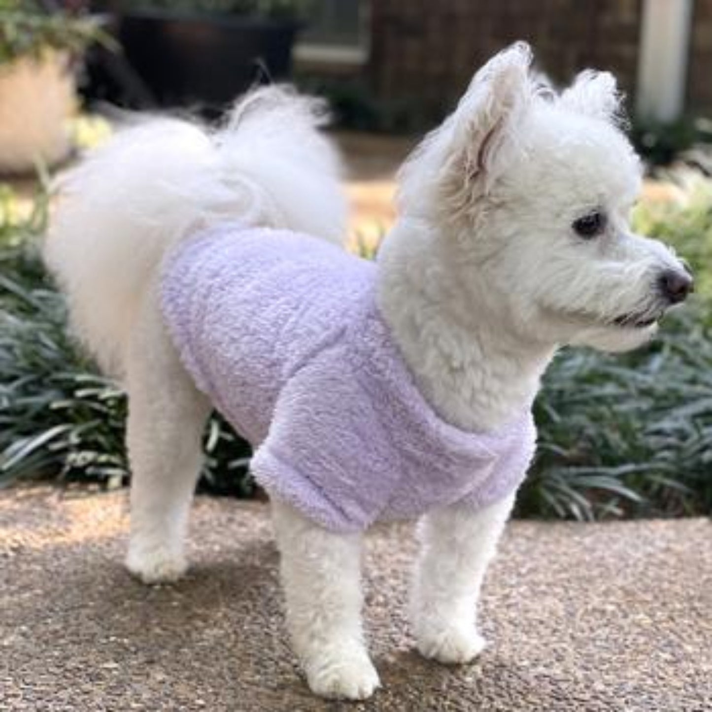 Soft Plush Pullover - Lavender 78570