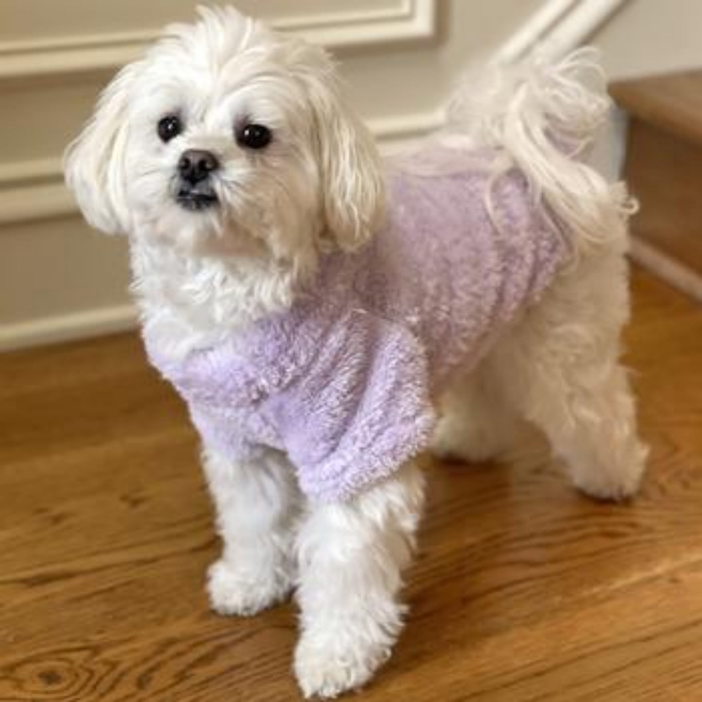 Soft Plush Pullover - Lavender 78570