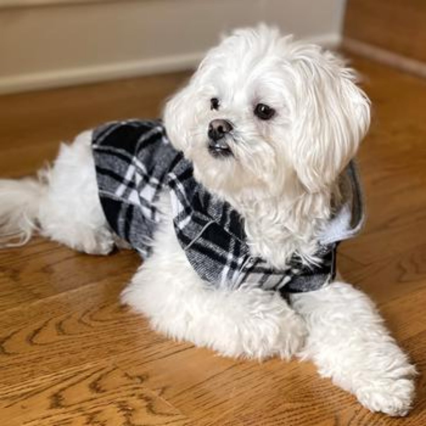 Weekender Dog Sweatshirt Hoodie - Black & White Plaid Flannel 78573