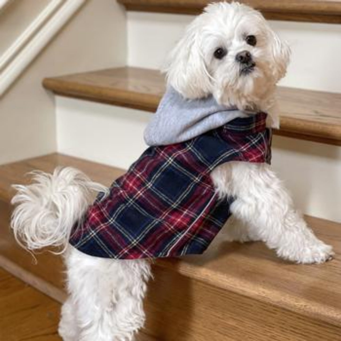 Weekender Dog Sweatshirt Hoodie - Red & Black Plaid Flannel DD78574