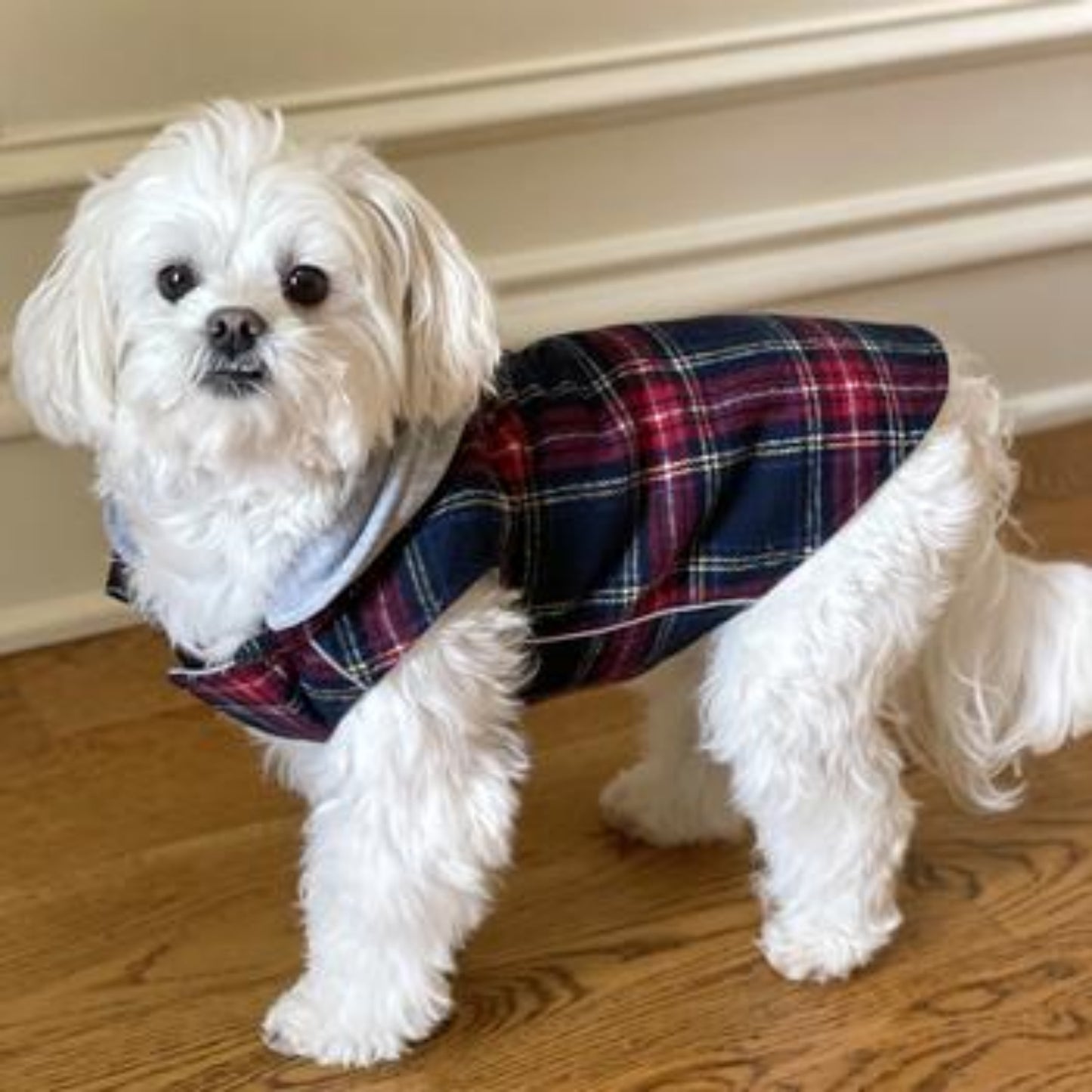 Weekender Dog Sweatshirt Hoodie - Red & Black Plaid Flannel DD78574