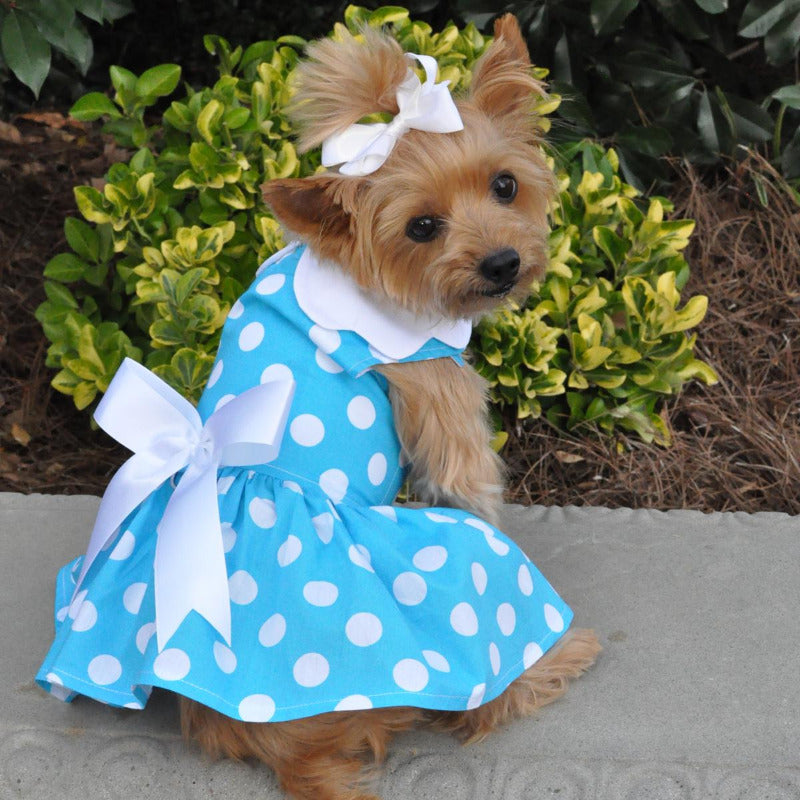 Blue Polka Dot Dog Dress with Matching Leash 66884