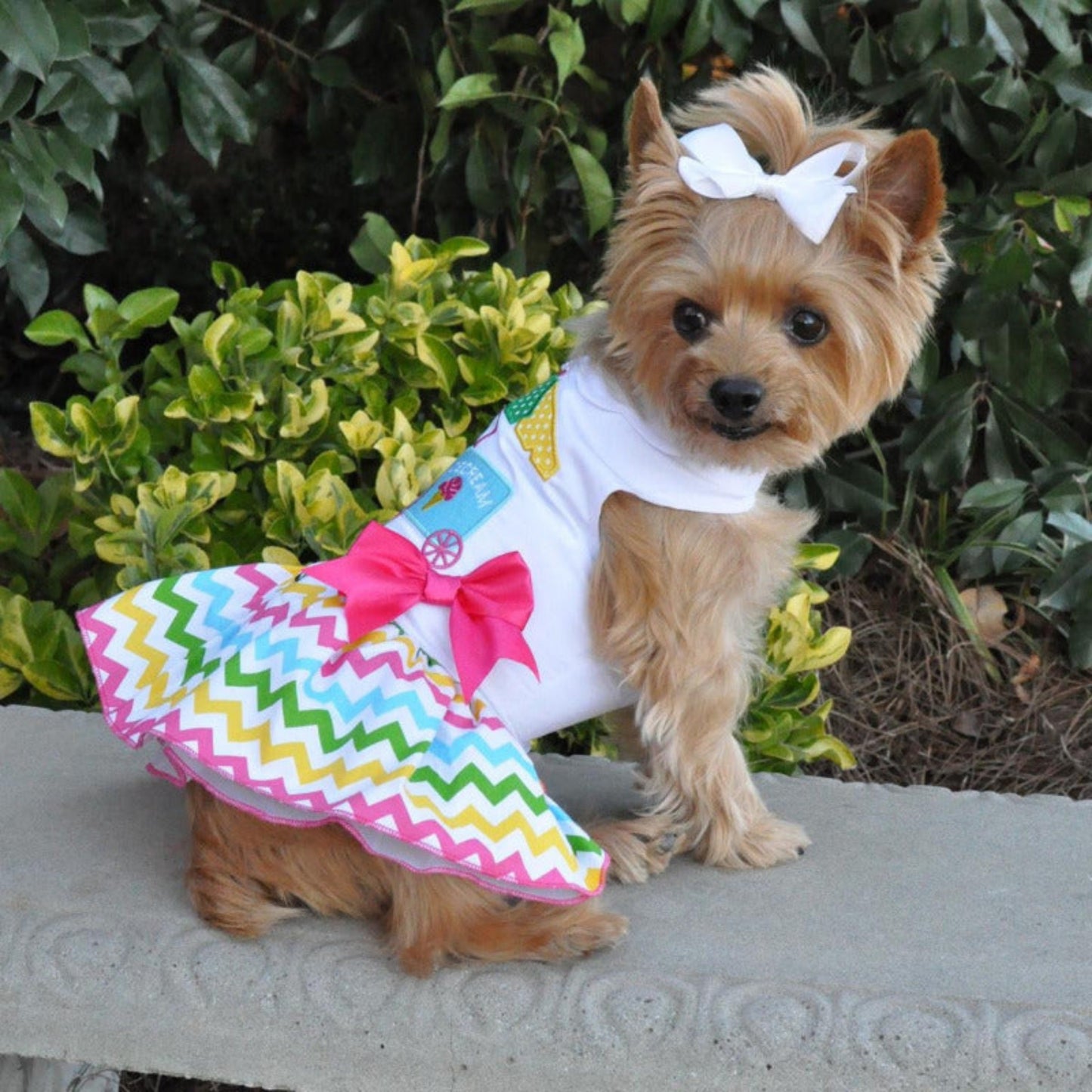 Doggie Design Ice Cream Cart Dress with Matching Leash 66883