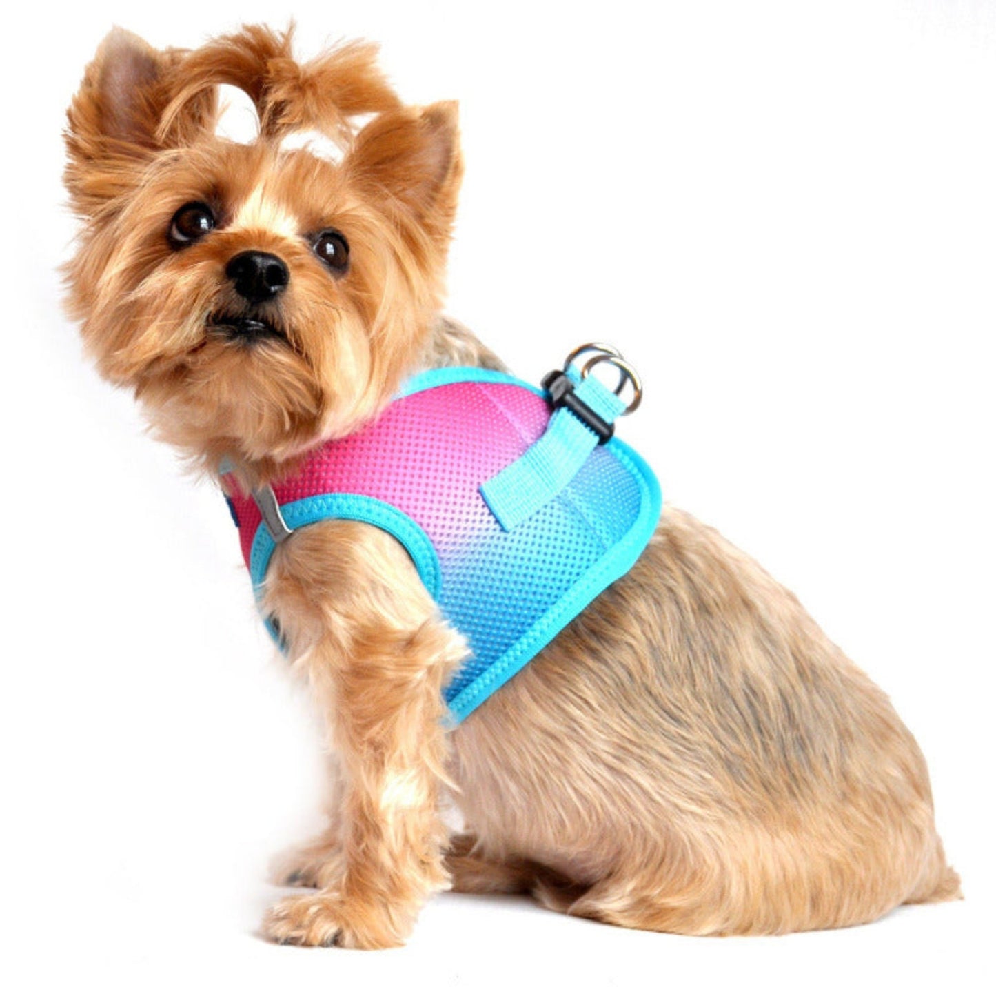 American River Choke-Free Dog Harnes 60954