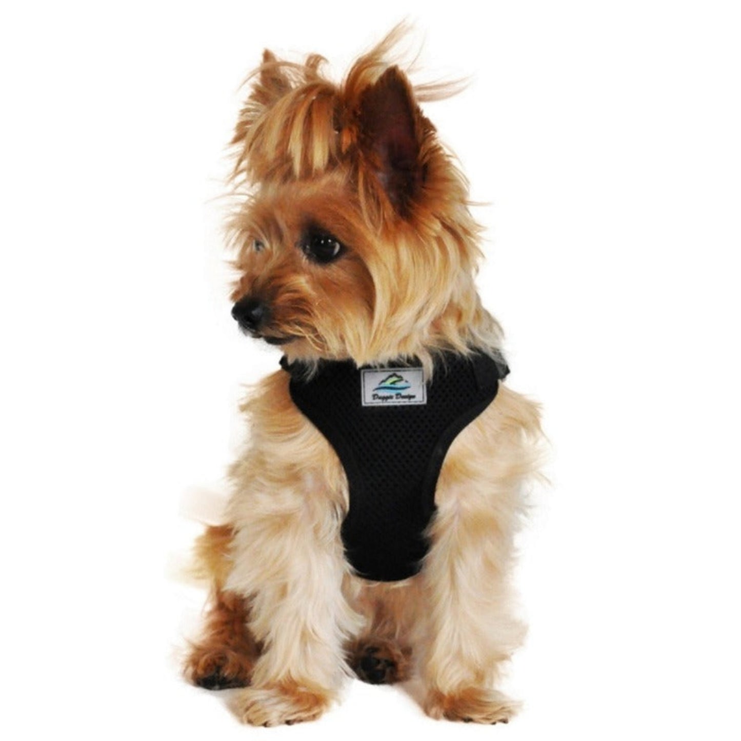 Wrap and Snap Choke Free Dog Harness | Black | Doggie Design