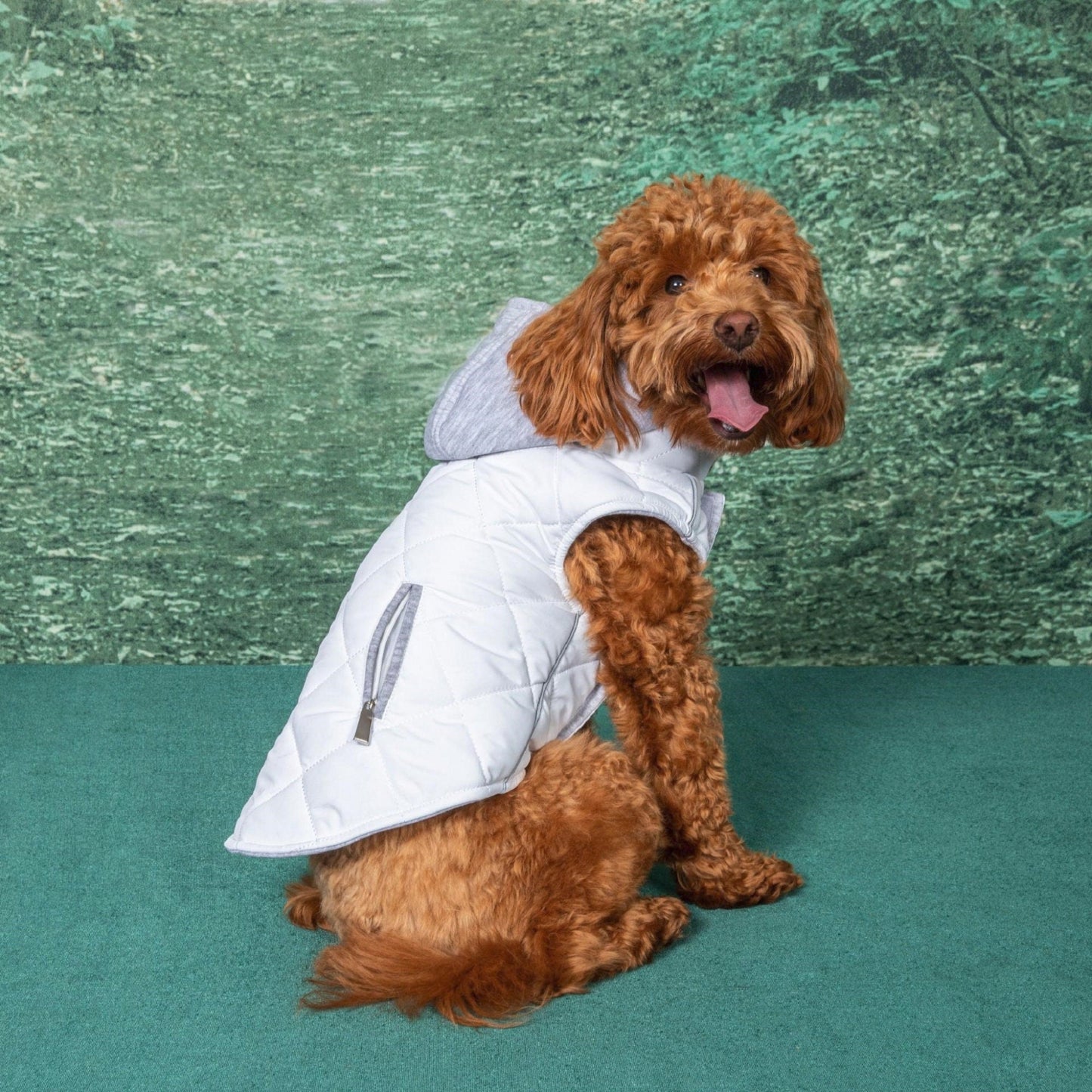 Weekender Dog Sweatshirt Hoodie - White 78542
