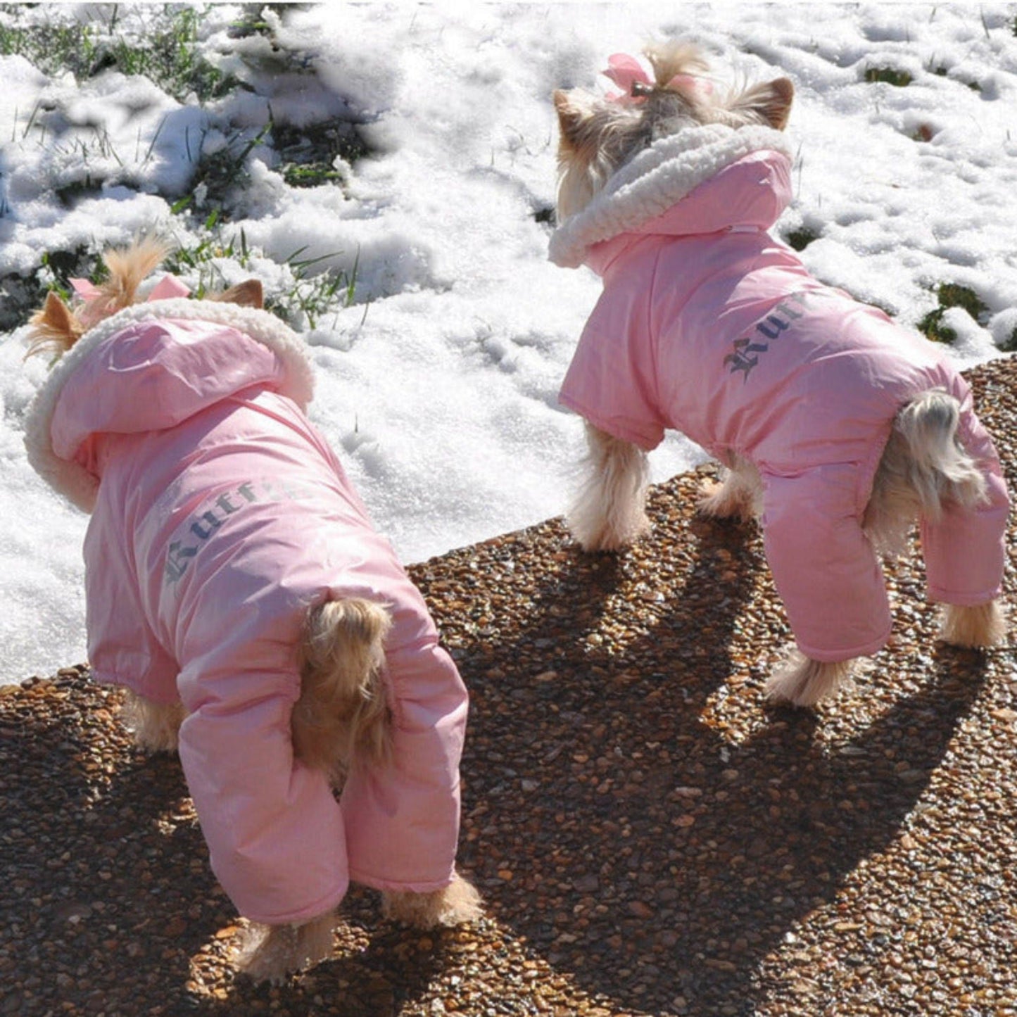 Doggie Design Pink Ruffin It Dog Snowsuit Harness 2100