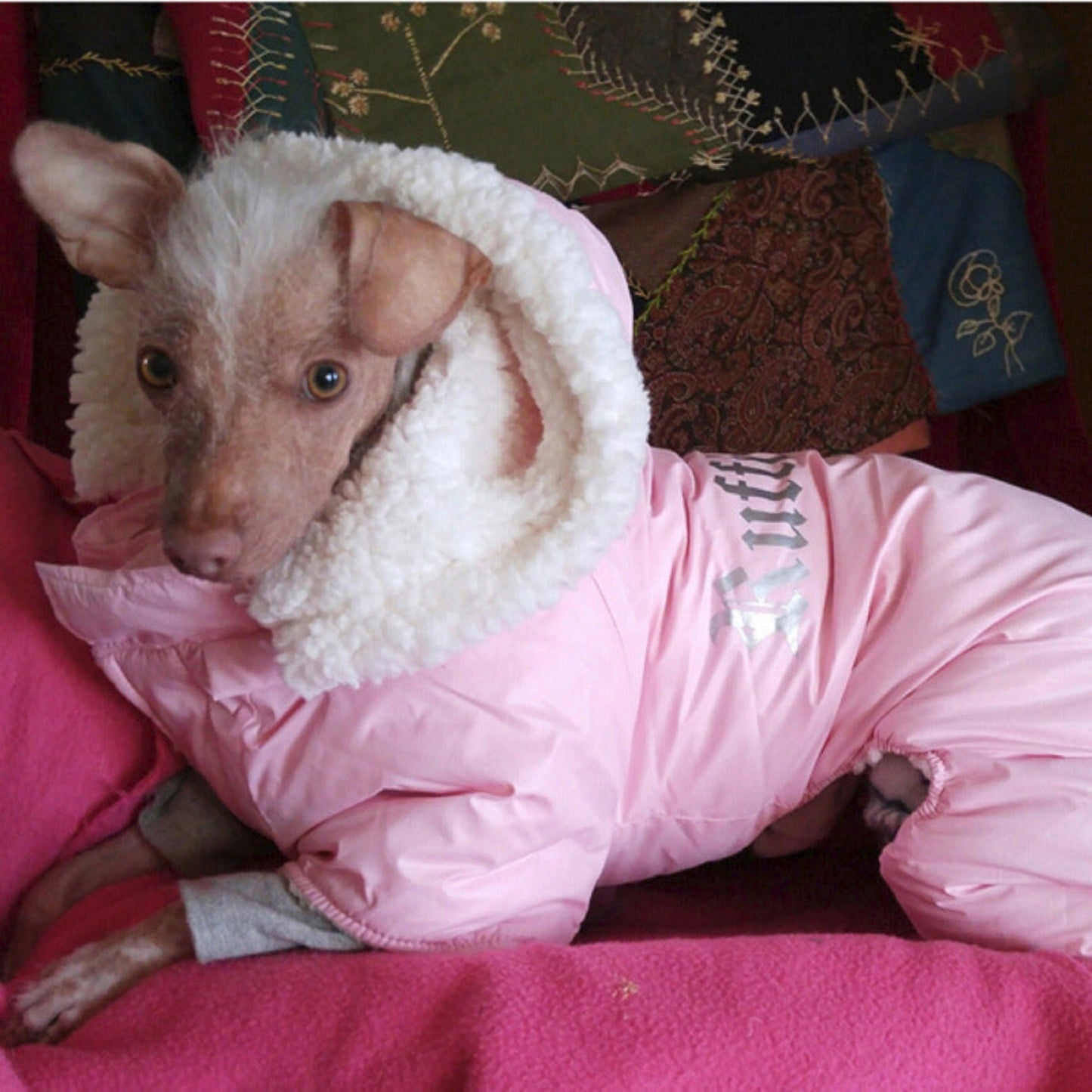 Doggie Design Pink Ruffin It Dog Snowsuit Harness 2100