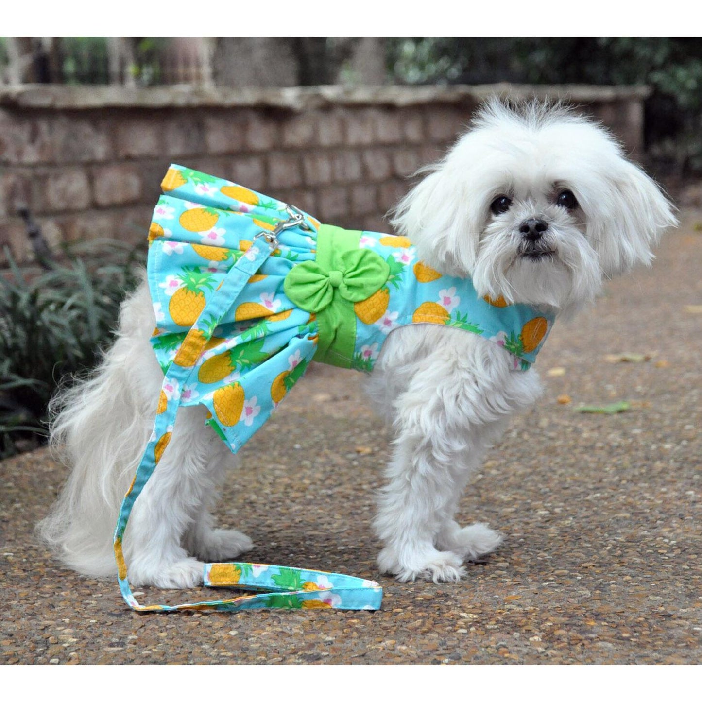 Pineapple Luau Dog Harness Dress with Matching LeashDD# 73384