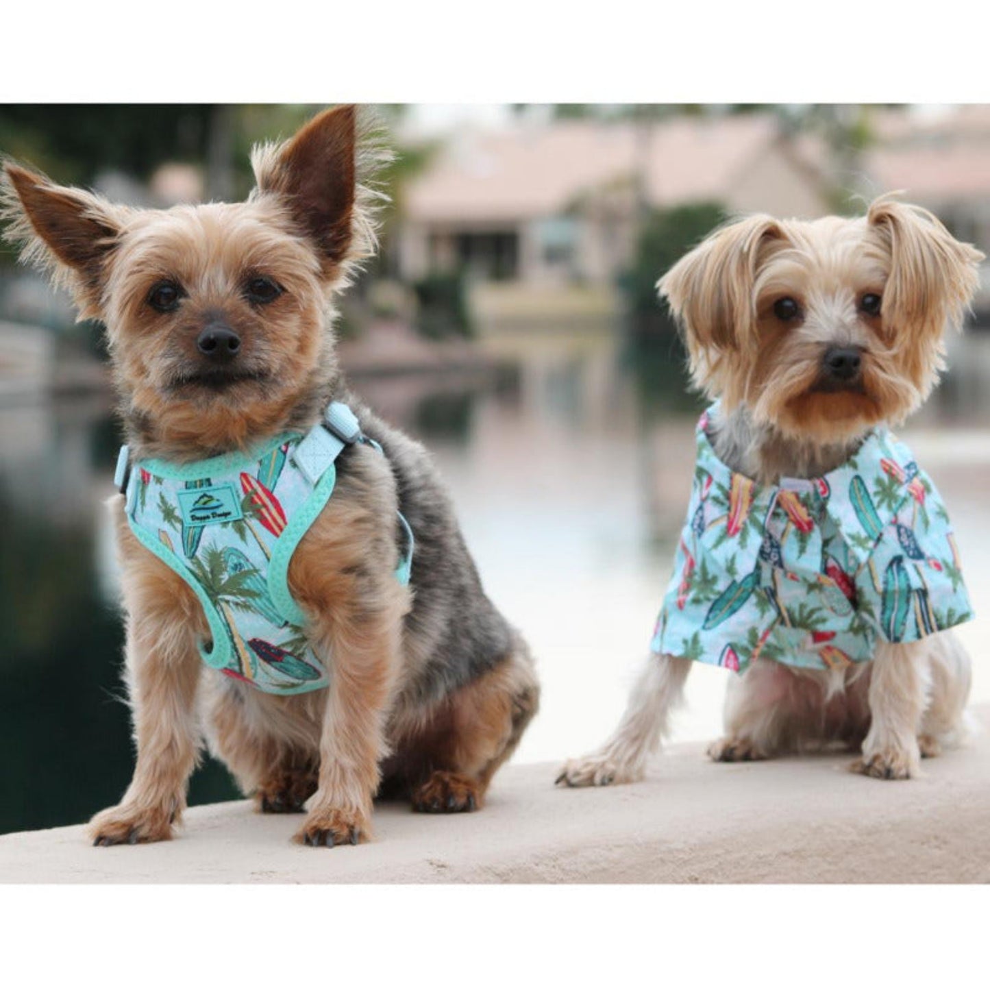 Doggie Design Wrap and Snap Choke Free Dog Harness - Surfboards and Palms 66875