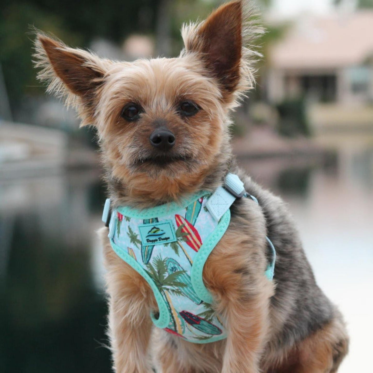 Doggie Design Wrap and Snap Choke Free Dog Harness - Surfboards and Palms 66875