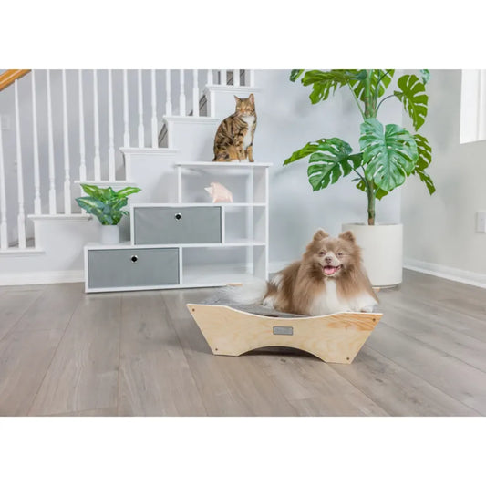 The Ultimate Guide to Detecting UTIs in Your Pet