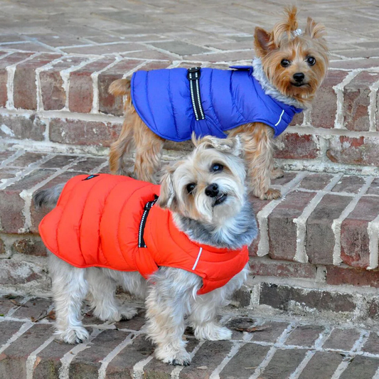Brrr it's cold outside.