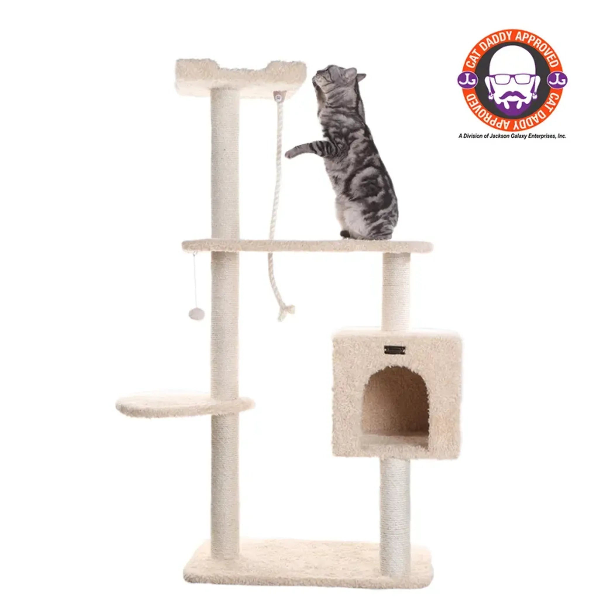 Cat Condos