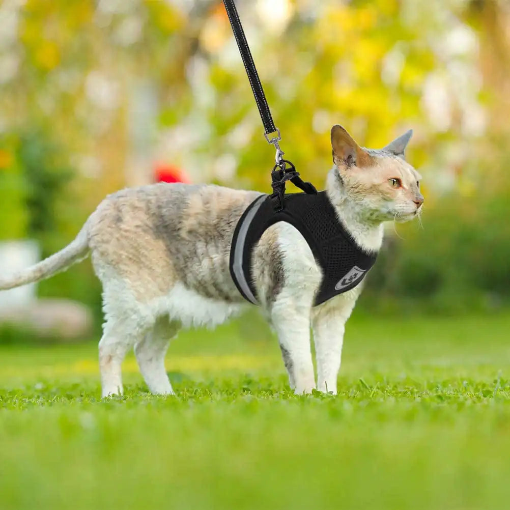 Cozy Cat Pet Harness And Leash