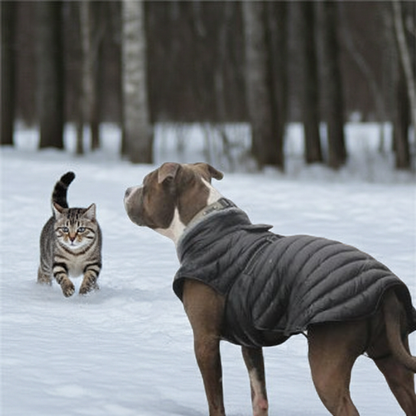 Alpine Extreme Weather Puffer Dog Coat by Doggie Design Black