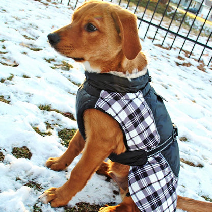 Alpine All-Weather Dog Coat - Black and White Plaid 65164