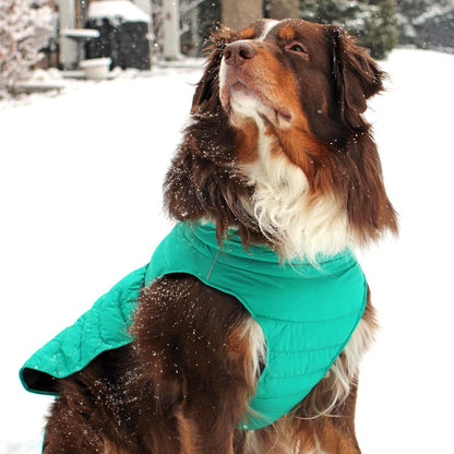 Doggie Design Alpine Extreme Weather Puffer Dog Coat Lime Green