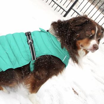 Doggie Design Alpine Extreme Weather Puffer Dog Coat Lime Green