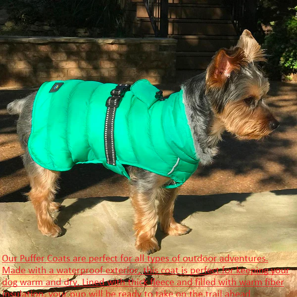 Alpine Extreme Weather  Puffer Coat by Doggie Design