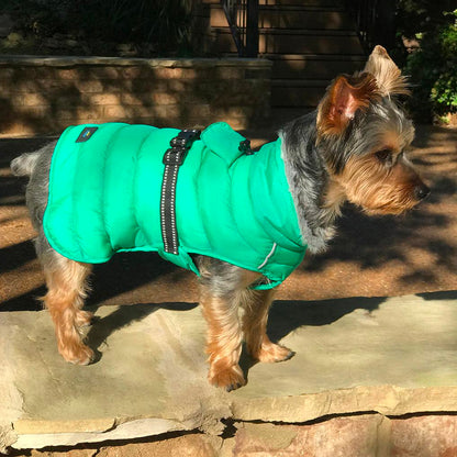 Doggie Design Alpine Extreme Weather Puffer Dog Coat Lime Green