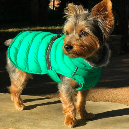 Alpine Extreme Weather  Puffer Coat by Doggie Design