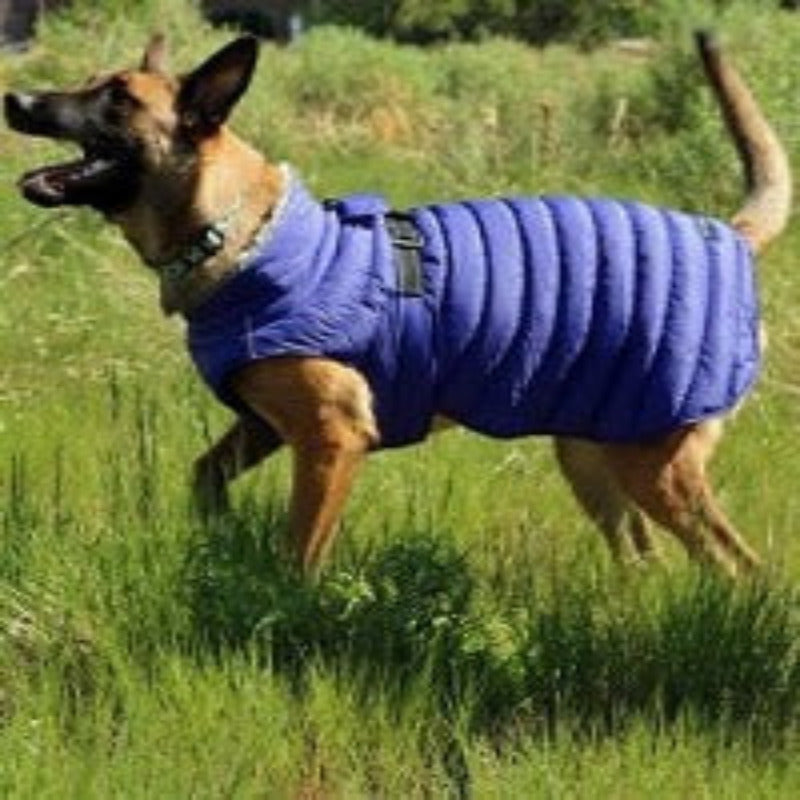 Alpine extreme weather coat will keep your pup warm and dry.