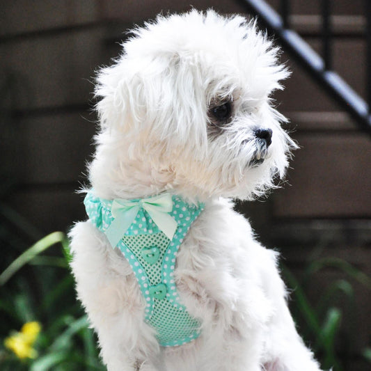 American River Choke Free Dog Harness Polka Dot Collection - Teal Polka Dot 71519