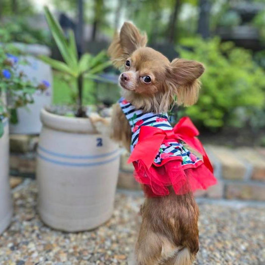 Cherry Stripe Harness Dress with Matching Leash 78586