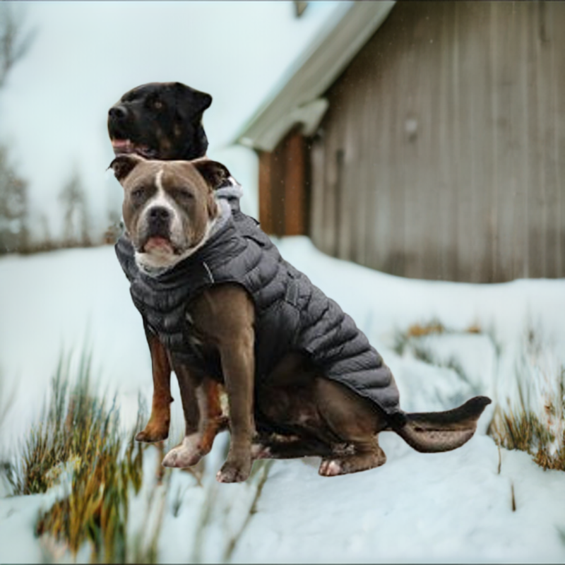 Alpine extreme weather hot sale puffer coat dog