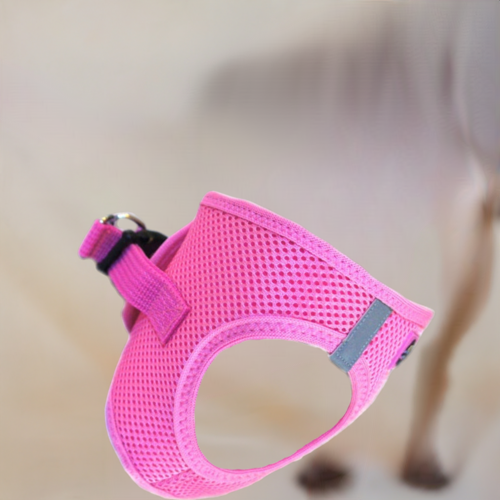 American River Ultra Choke-Free Mesh Dog Harness by Doggie Design - Candy Pink DD# 58590