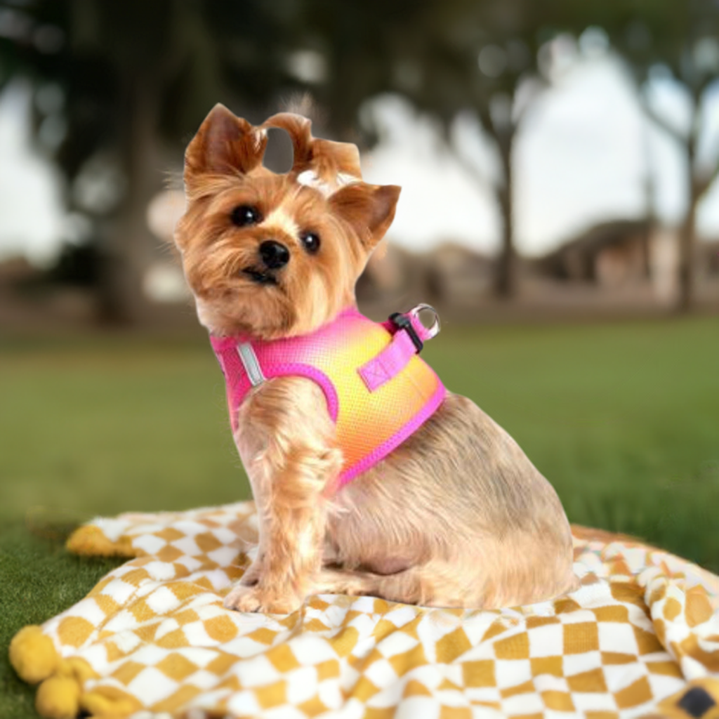 No pull dog harness. Trachea safe, double D ring, reflective. Color Raspberry pink and Orange