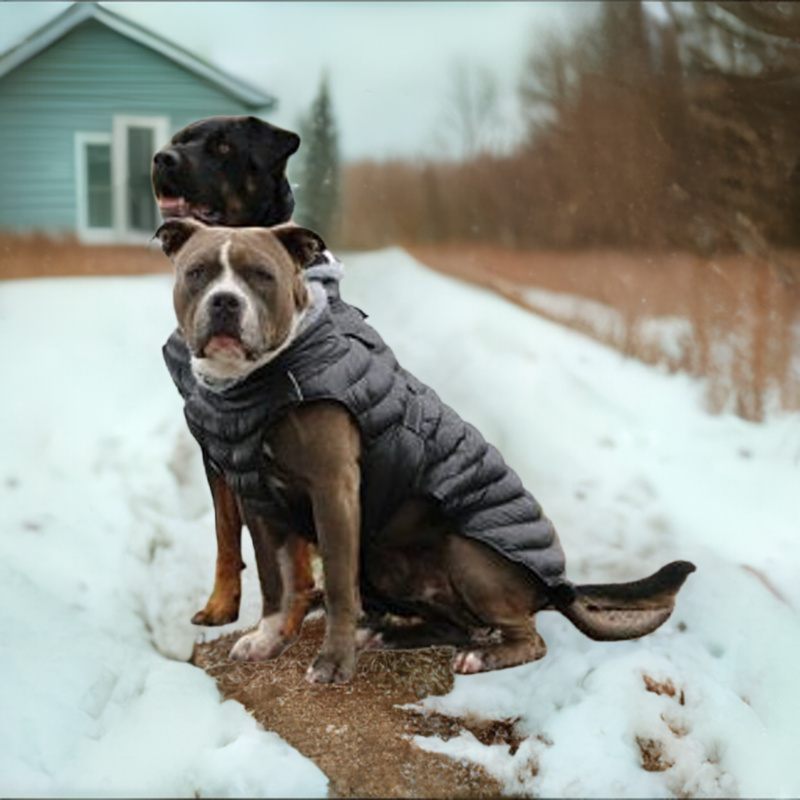 Alpine Extreme Weather Puffer Coat by Doggie Design Black 68221