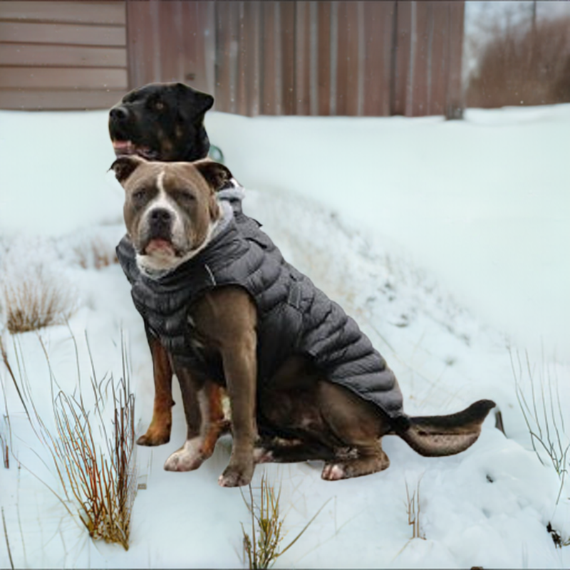 Doggie design alpine extreme deals weather puffer dog coat