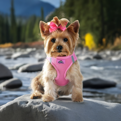 American River Ultra Choke-Free Mesh Dog Harness by Doggie Design - Candy Pink DD# 58590