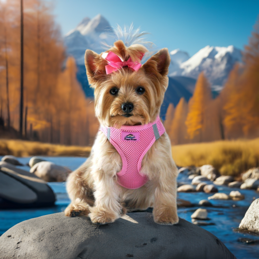 American River Ultra Choke-Free Mesh Dog Harness by Doggie Design - Candy Pink DD# 58590