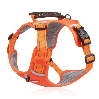 Reflective Stress- Relieving Harness