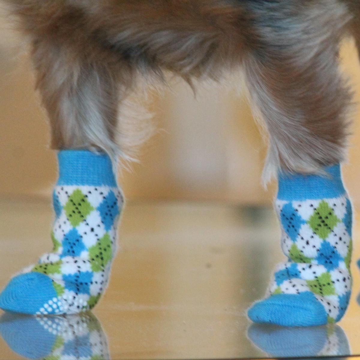 Non-Skid Dog Socks - Blue and Green Argyle 66859