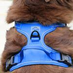 Venture Paw Pull Control Dog Harness - Mountain Lake