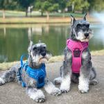 Venture Paw Pull Control Dog Harness - Wild Raspberry