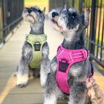 Venture Paw Pull Control Dog Harness - Wild Raspberry