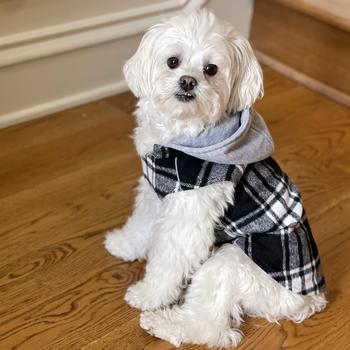 Weekender Dog Sweatshirt Hoodie - Black & White Plaid Flannel DD78573