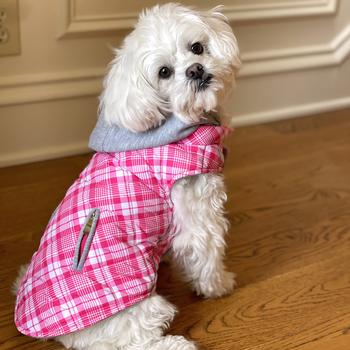 Weekender Dog Sweatshirt Hoodie Pink & White Plaid